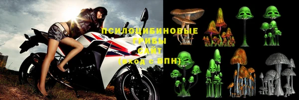 хмурый Покров