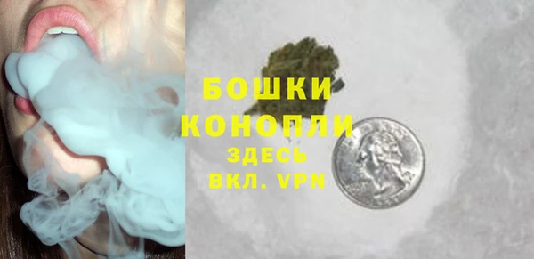 ГАЛЛЮЦИНОГЕННЫЕ ГРИБЫ Покачи