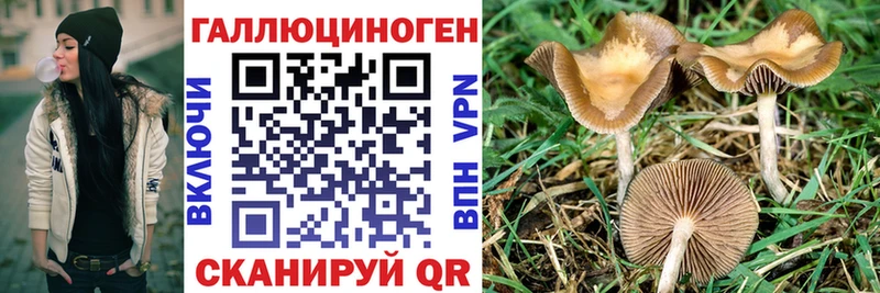 Галлюциногенные грибы Psilocybine cubensis  Кукмор 
